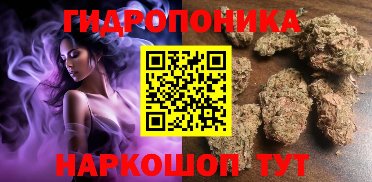 Балтийск  Канабис план  Марихуана OG Kush  Вход с VPN  Канабис OG Kush 